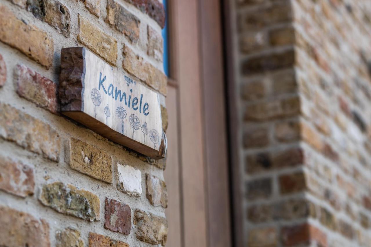 Guesthouse Kamiele Bij Lavendine Pure 亨克 外观 照片